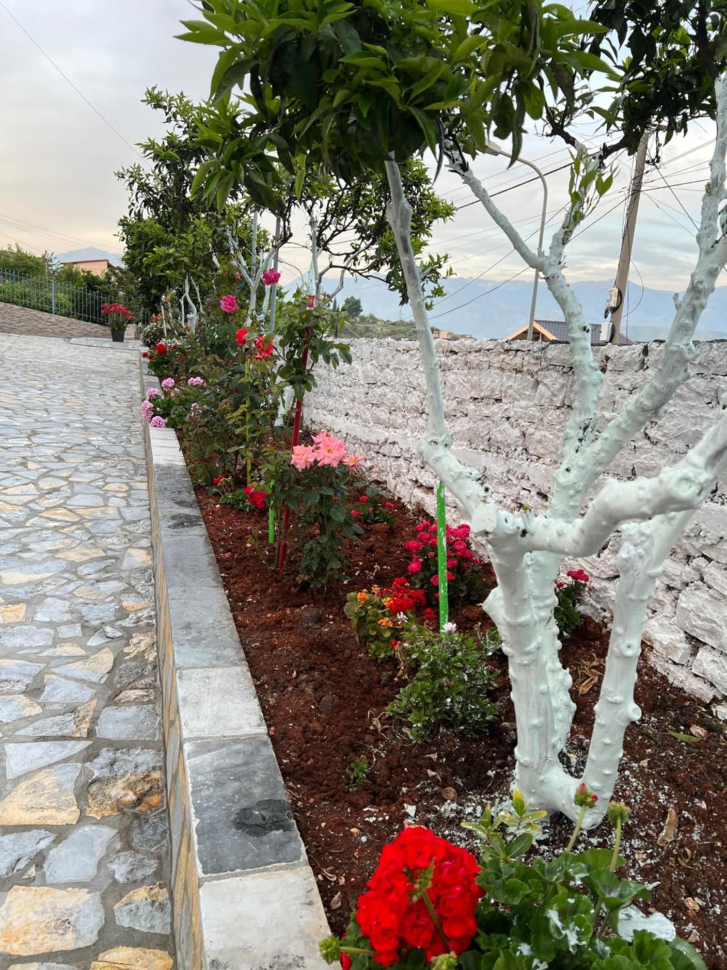 Amazing Familiar Apartments And Rooms Sarandë Exterior foto