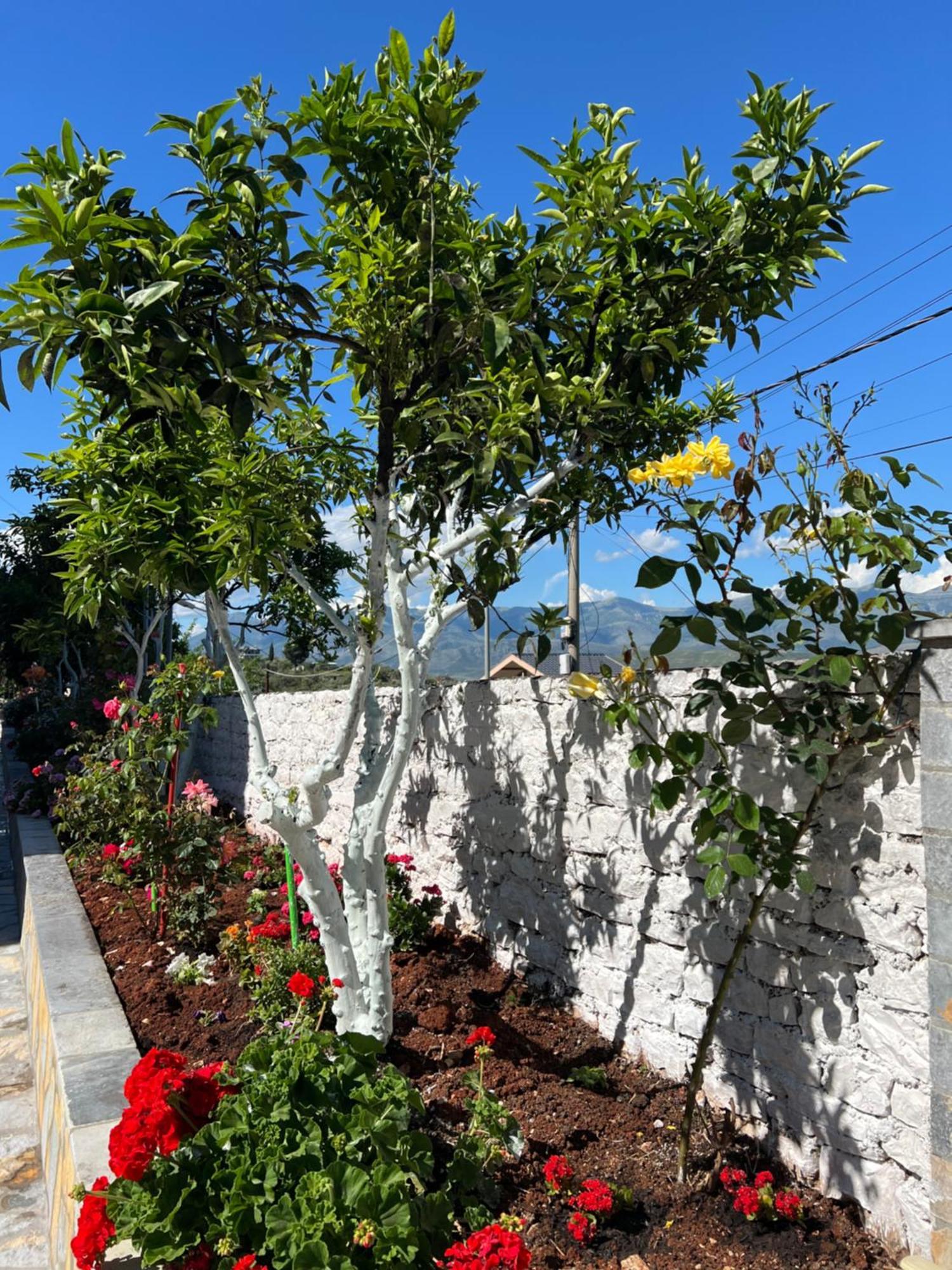 Amazing Familiar Apartments And Rooms Sarandë Exterior foto